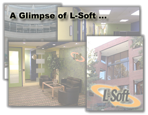 A Glimpse of L-Soft...